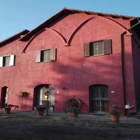 Il Baffetto B&B 로마 외부 사진