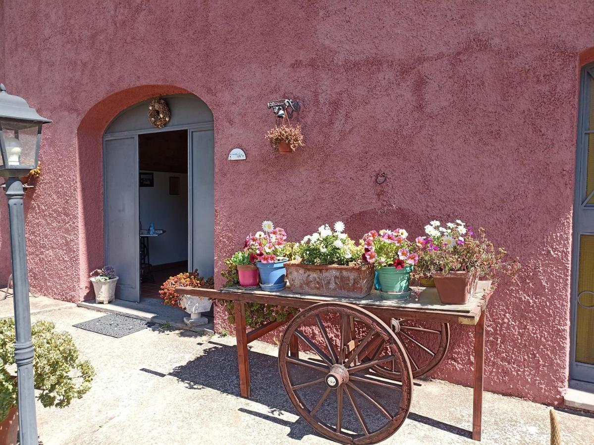 Il Baffetto B&B 로마 외부 사진