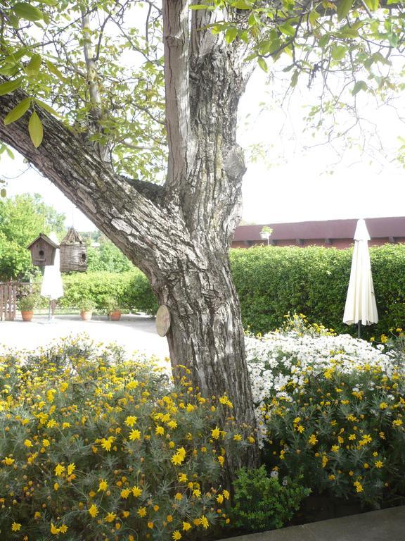Il Baffetto B&B 로마 외부 사진