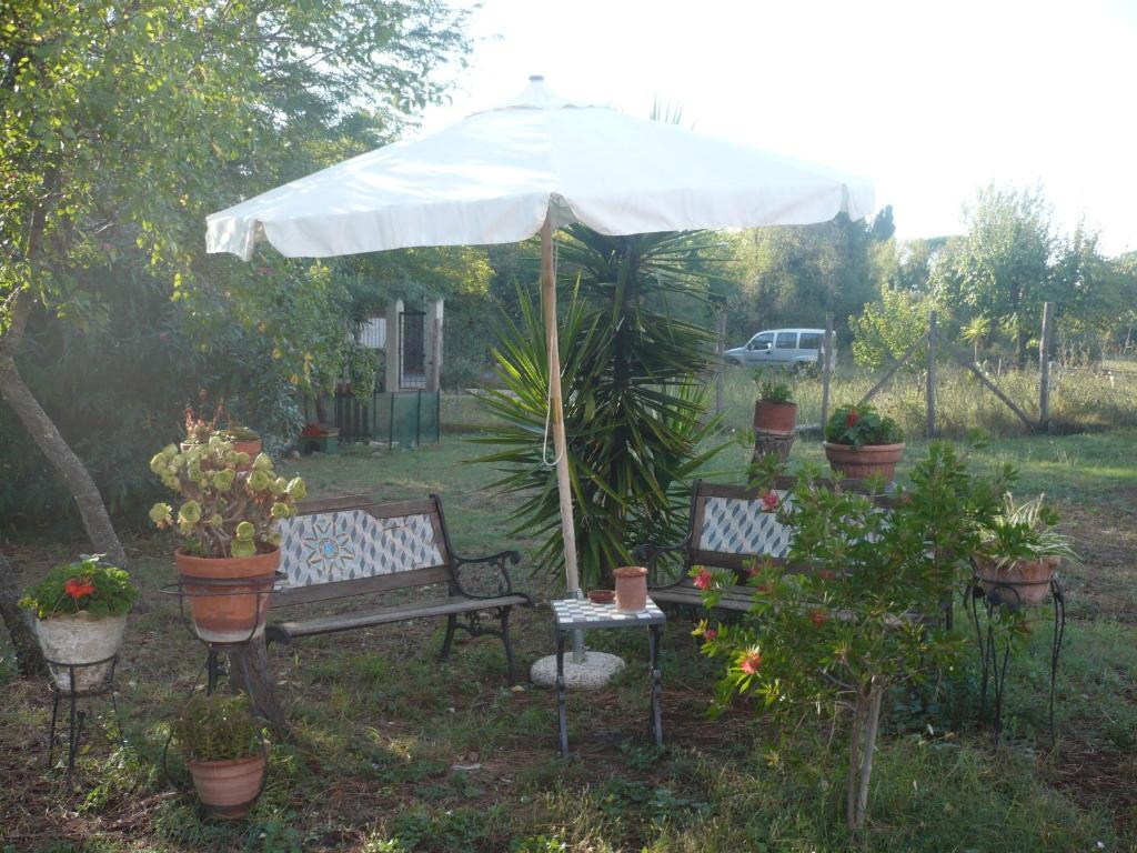 Il Baffetto B&B 로마 외부 사진