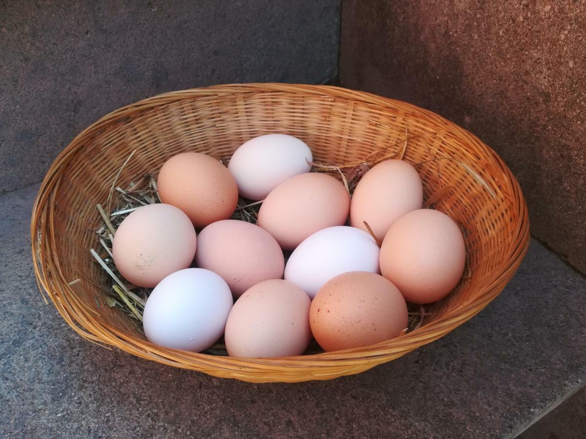 Il Baffetto B&B 로마 외부 사진